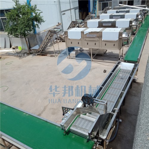 無(wú)藥水核桃仁脫皮機(jī)  去衣核桃仁設(shè)備