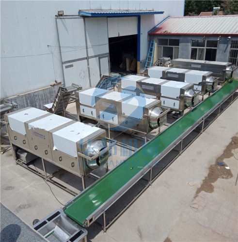 現(xiàn)貨核桃仁去皮機(jī)