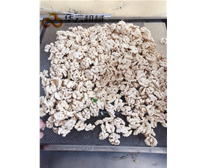 去皮率99%核桃仁去衣機 脫衣核桃仁設(shè)備