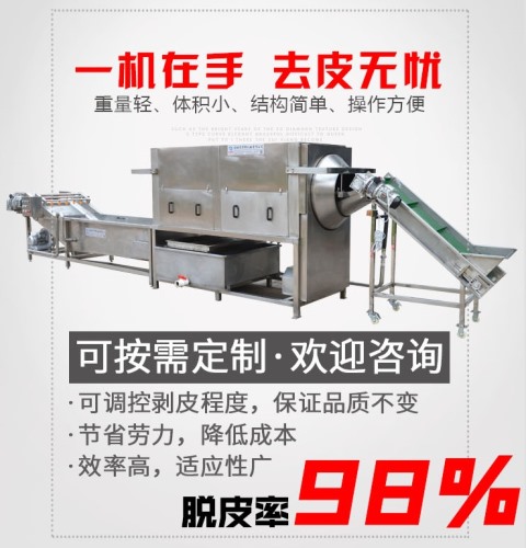 核桃仁去皮機(jī)