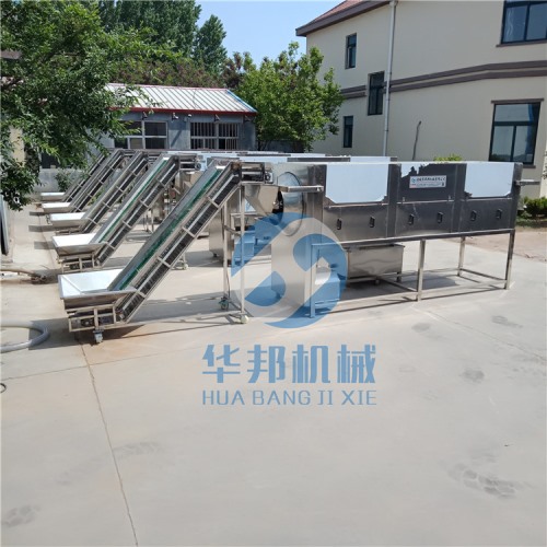 自動(dòng)上料 核桃仁去皮機(jī)