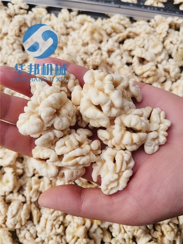 核桃仁去皮機 核桃仁去皮流水線