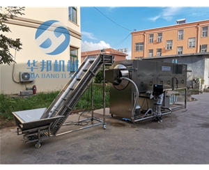 現(xiàn)貨 核桃仁去皮機 免費設(shè)計核桃仁去皮流水線