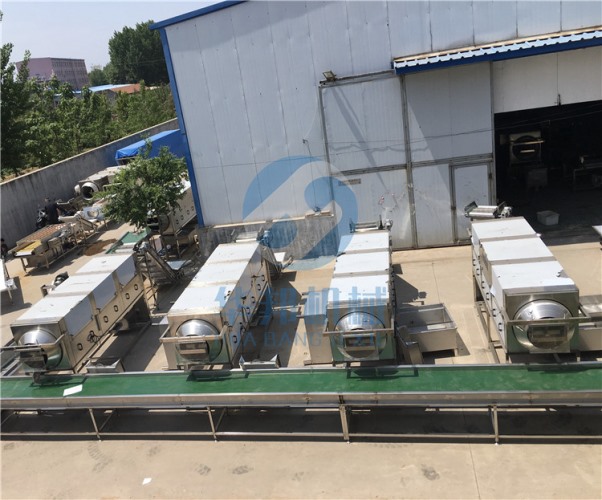 【華邦機(jī)械】核桃仁去皮機(jī) 核桃仁脫衣機(jī) 專(zhuān)利產(chǎn)品