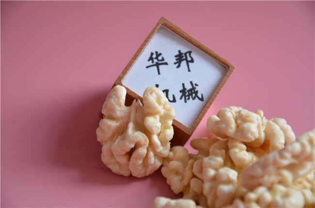 華邦研發(fā)核桃仁去皮機(jī) 物理沖洗核桃仁去皮機(jī) 效率高