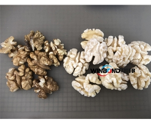 核桃仁深加工設(shè)備 純物理 核桃仁去皮機