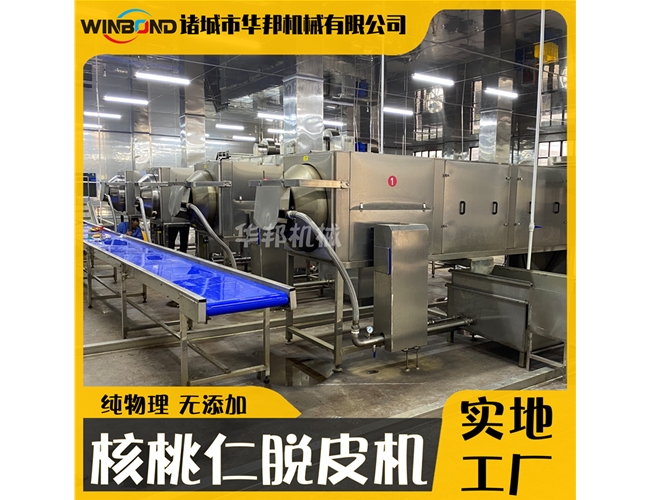 6米核桃仁去皮機 自動過濾核桃仁去皮設(shè)備 華邦