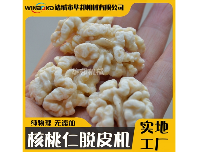 華邦核桃仁深加工設備 核桃仁去皮機 多味核桃仁設備